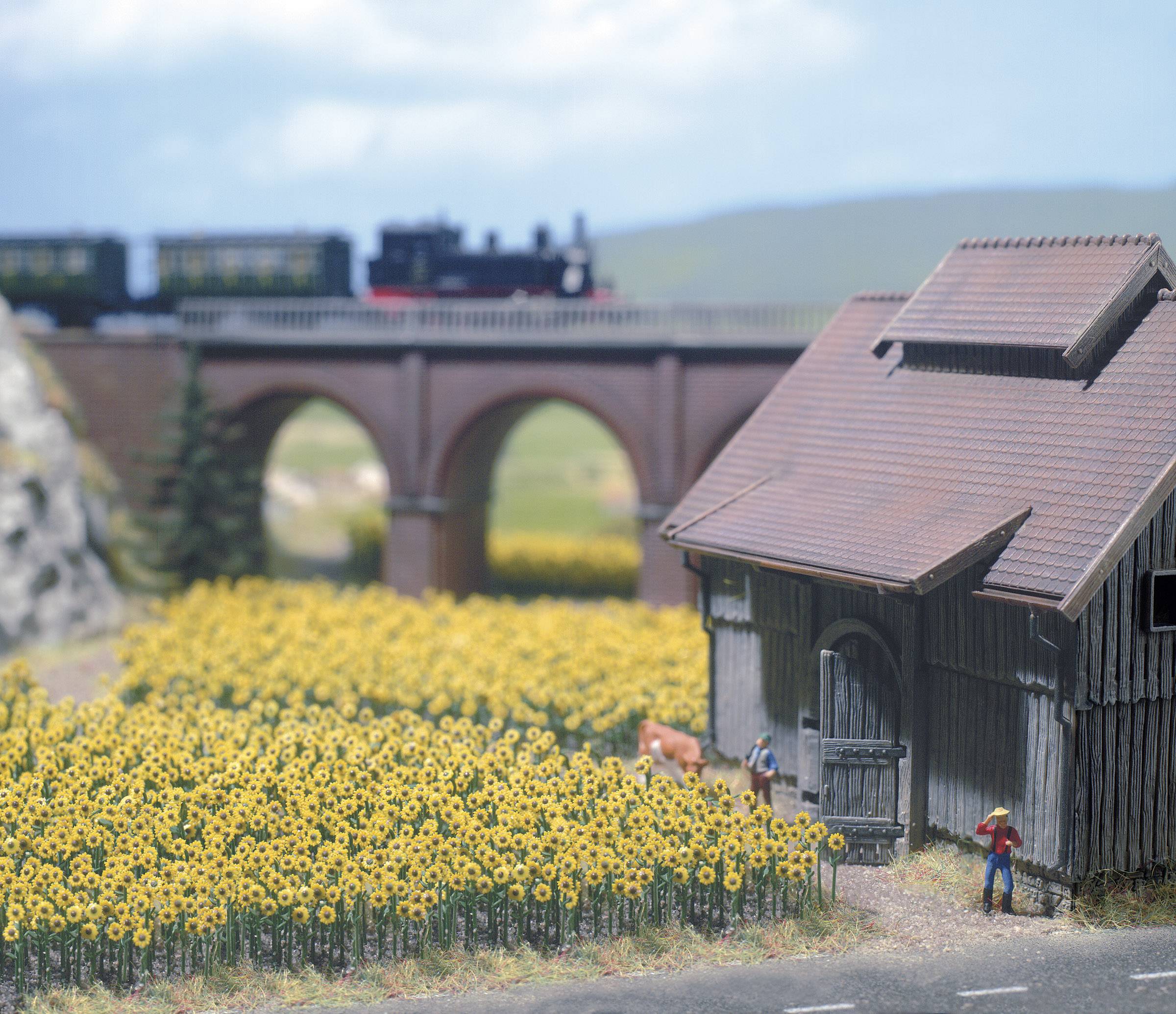 Соняшники, Busch 8103, масштаб N