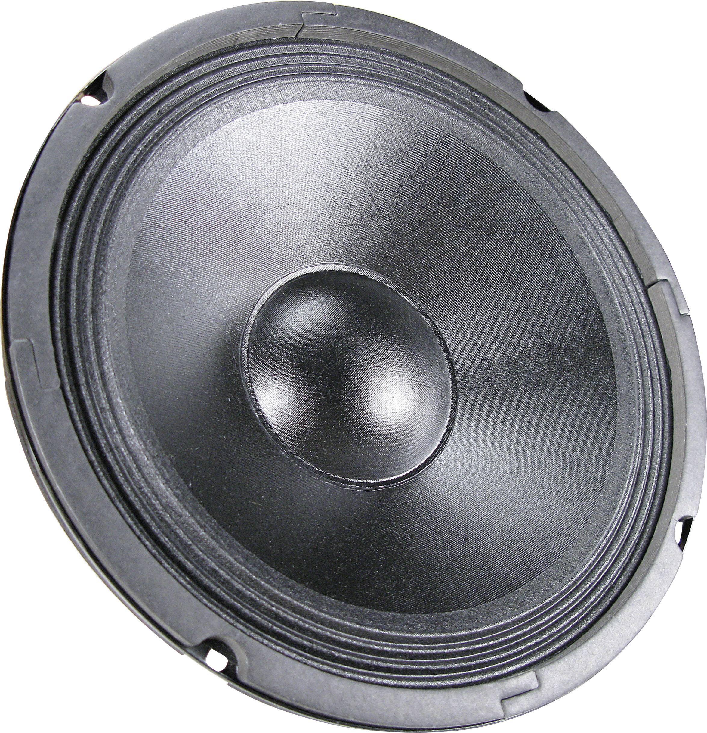 Сабвуфер PA-10, 150/300 Вт, 8 Ом, 10 дюймів, 40-5000 Гц, 92 дБ