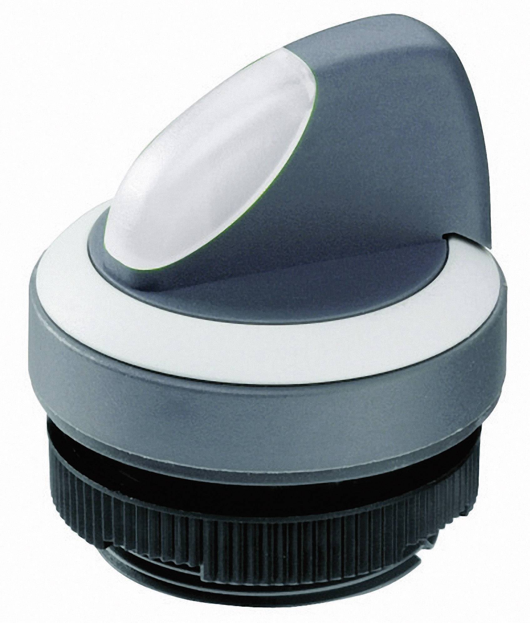 Перемикач RAFI 1.30.272.102/2200, з підсвічуванням, 1 x 90°