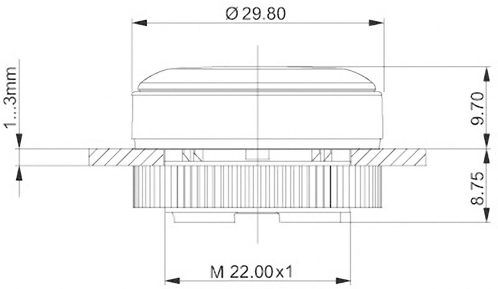 Rysunek techniczny elementu okrągłego z wymiarami: średnica 29,80 mm, wysokość 1,3 mm, gwint M22 x 1.