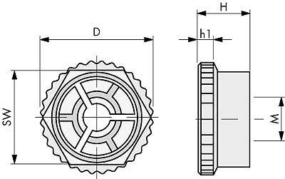 Rysunek techniczny elementu cylindrycznego z wymiarami: średnica 'D', wysokość 'H', szerokość 'SW' oraz 'h1'. Widok z boku i z góry.
