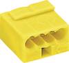 Złącze do puszki podtynkowej WAGO 243-504, PIN: 4, 100 V/AC, 6 A, 1 szt.