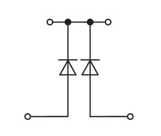 Elektryczny obwód z dwoma diodami połączonymi równolegle, skierowanymi w przeciwnych kierunkach.