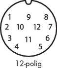 12-polowa reprezentacja kołowa z ponumerowanymi polami od 1 do 12, rozpoczynająca się od góry w środku i ułożona zgodnie z ruchem wskazówek zegara.