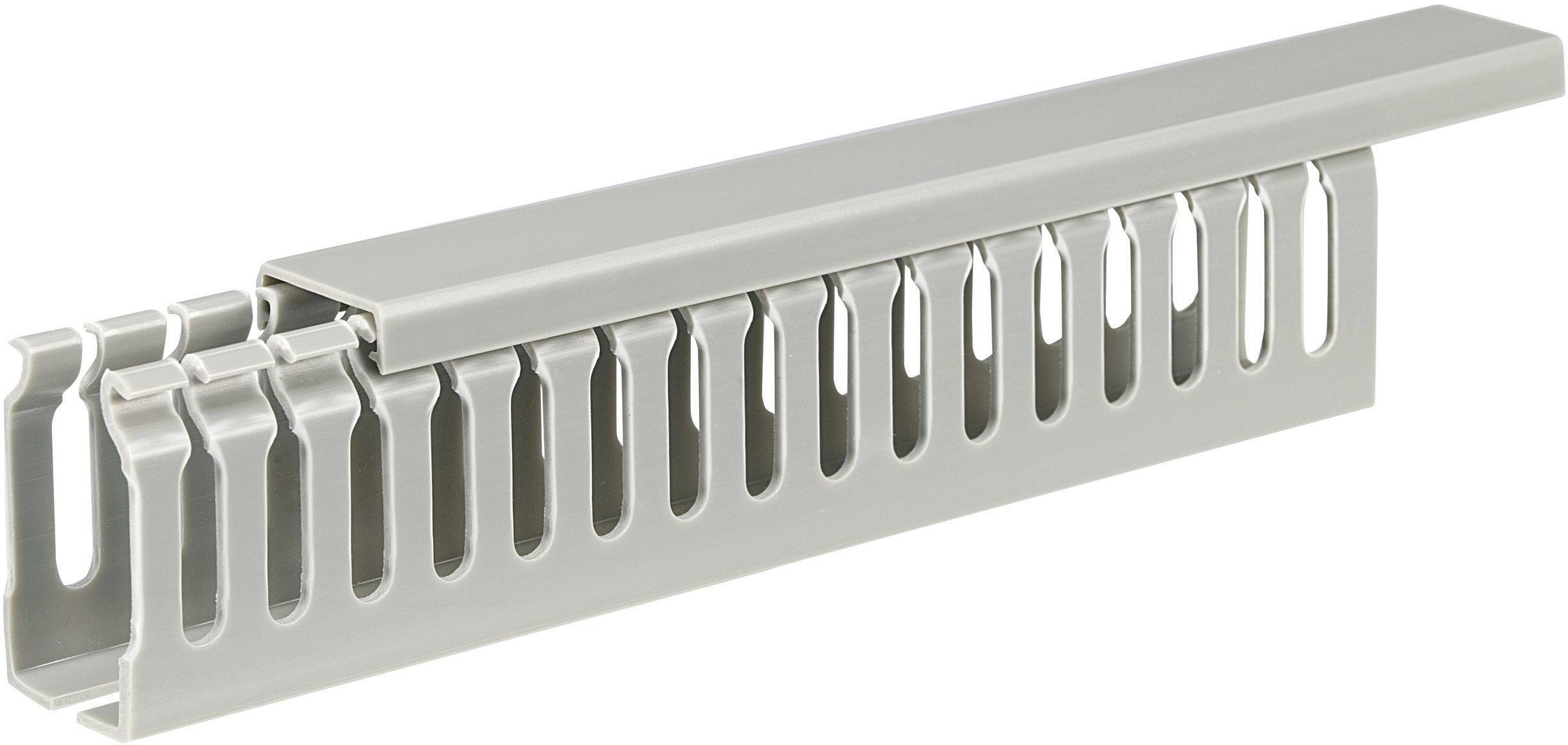 Sygonix SY-5045596 кабель-канал (Д x Ш x В) 2000 x 25 x 45 мм 1 шт.