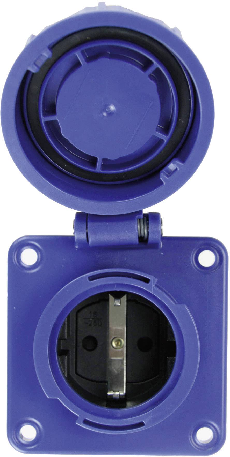 Niebieskie przemysłowe gniazdo elektryczne w kształcie kwadratu z otwartą pokrywą, sfotografowane od przodu.