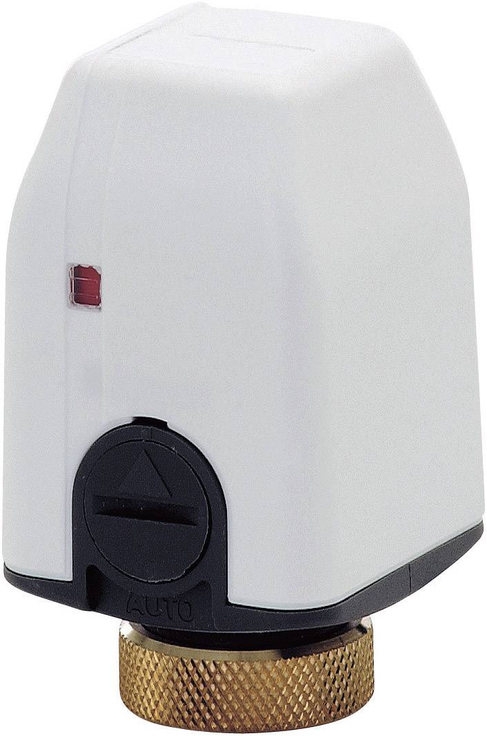 Biały głowicowy termostat grzejnikowy z mosiężnozłotym złączem, czerwonym wskaźnikiem oraz pokrętłem regulacyjnym oznaczonym napisem 'Auto'.