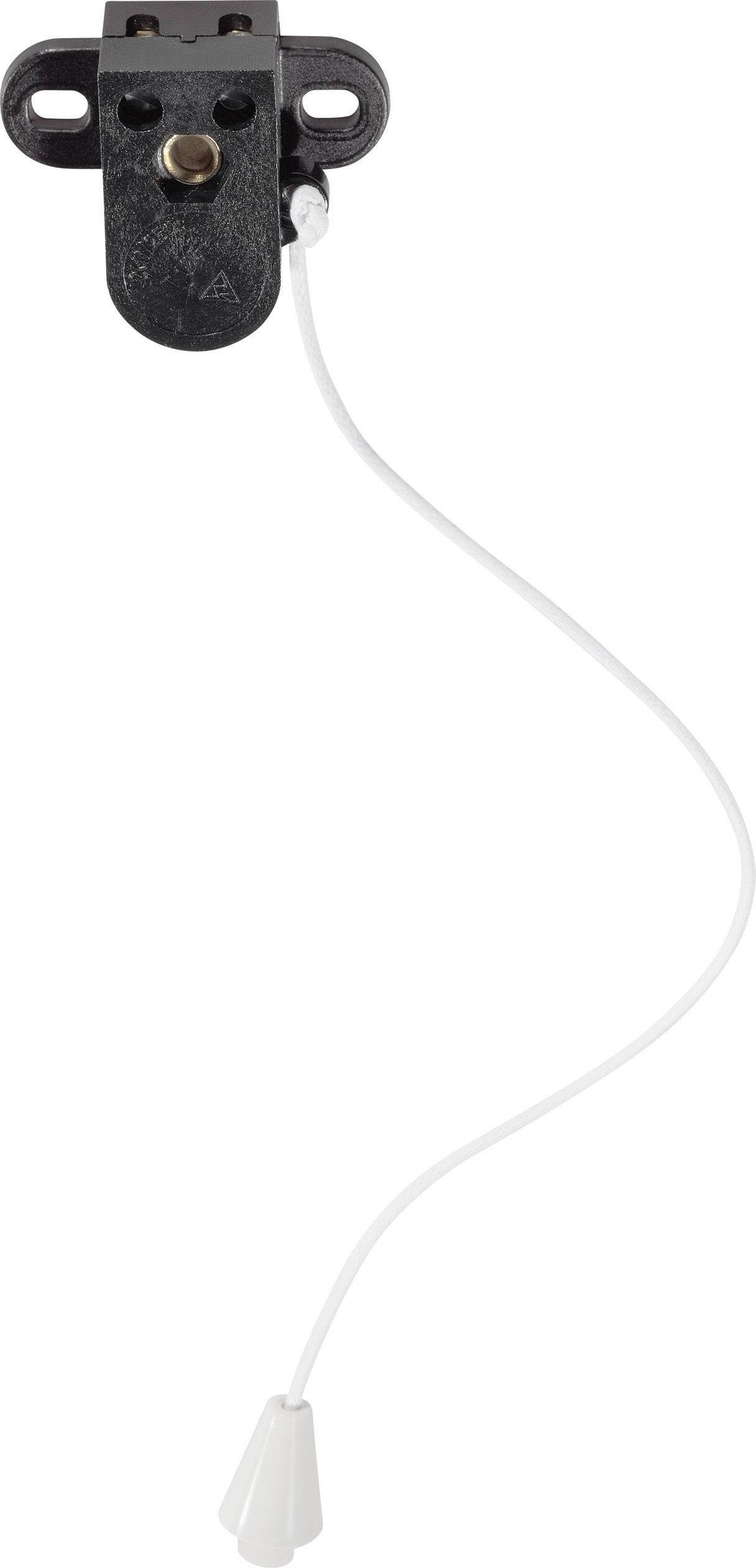 interBär 3730-002.82 Тросовий вимикач, 2 A, 1 x ввімкнено/вимкнено