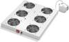 Digitus DN-19 FAN-6-SRV 19 cal 6 x Wentylator do szafy serwerowej 1 U szary