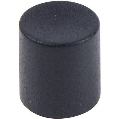 Cylinder o czarnej, matowej powierzchni.