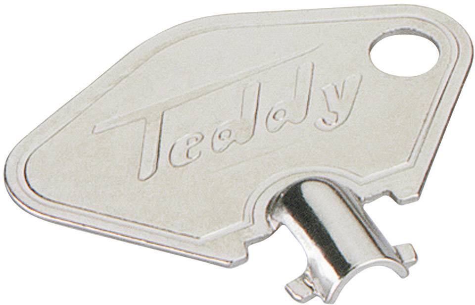 Srebrny klucz z napisem 'Teddy', okrągły otwór w rogu, specjalnie ukształtowane zakończenie.