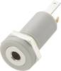 TRU COMPONENTS 1572253 Złącze męskie jack 2,5 mm, niklowany, 1 szt.