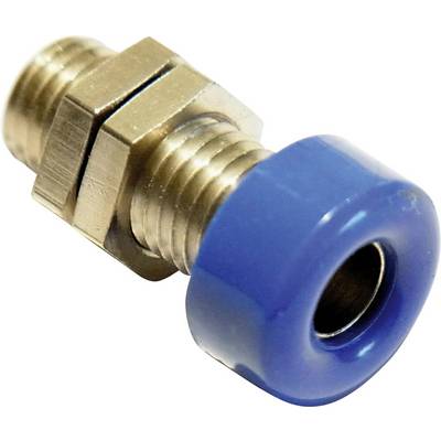 Złączka pomiarowa lub z tworzywa sztucznego z niebieskim końcem, odpowiednia do zastosowań pneumatycznych lub hydraulicznych.