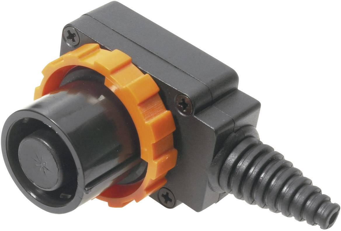 Мережевий роз'єм Cliff чоловічий, кутовий чоловічий, Загальна кількість контактів: 8, 10 A, чорний, FCR2072, 1 шт.