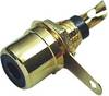 TRU COMPONENTS 1577825 Złącze męskie RCA/Cinch, złocony, 1 szt.