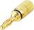 Złoty wtyk bananowy do połączeń audio, powierzchnia z delikatnym żłobieniem dla lepszego chwytu, odpowiedni do przewodów głośnikowych.