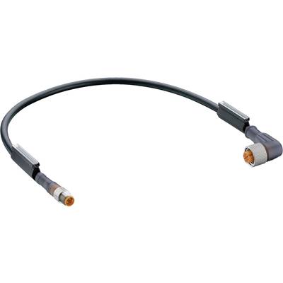 Czarny kabel z dwoma różnymi wtyczkami na końcach leży na białym tle.