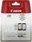 Wielopak Canon PIXMA tuszy, Czarny (PG-545) i Kolor (CL-546), kompatybilny z modelami PIXMA MG2450/MG2550.