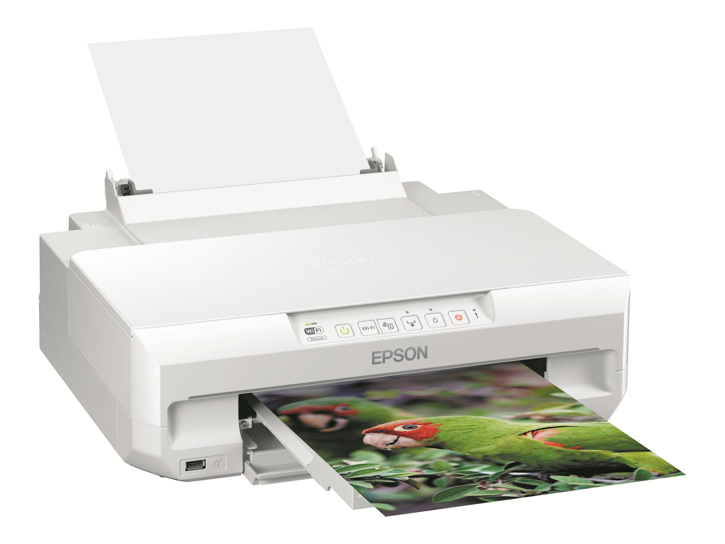 Epson Expression Photo XP-55 Drukarka druk atramentowy druk kolorowy WLAN, Duplex-5