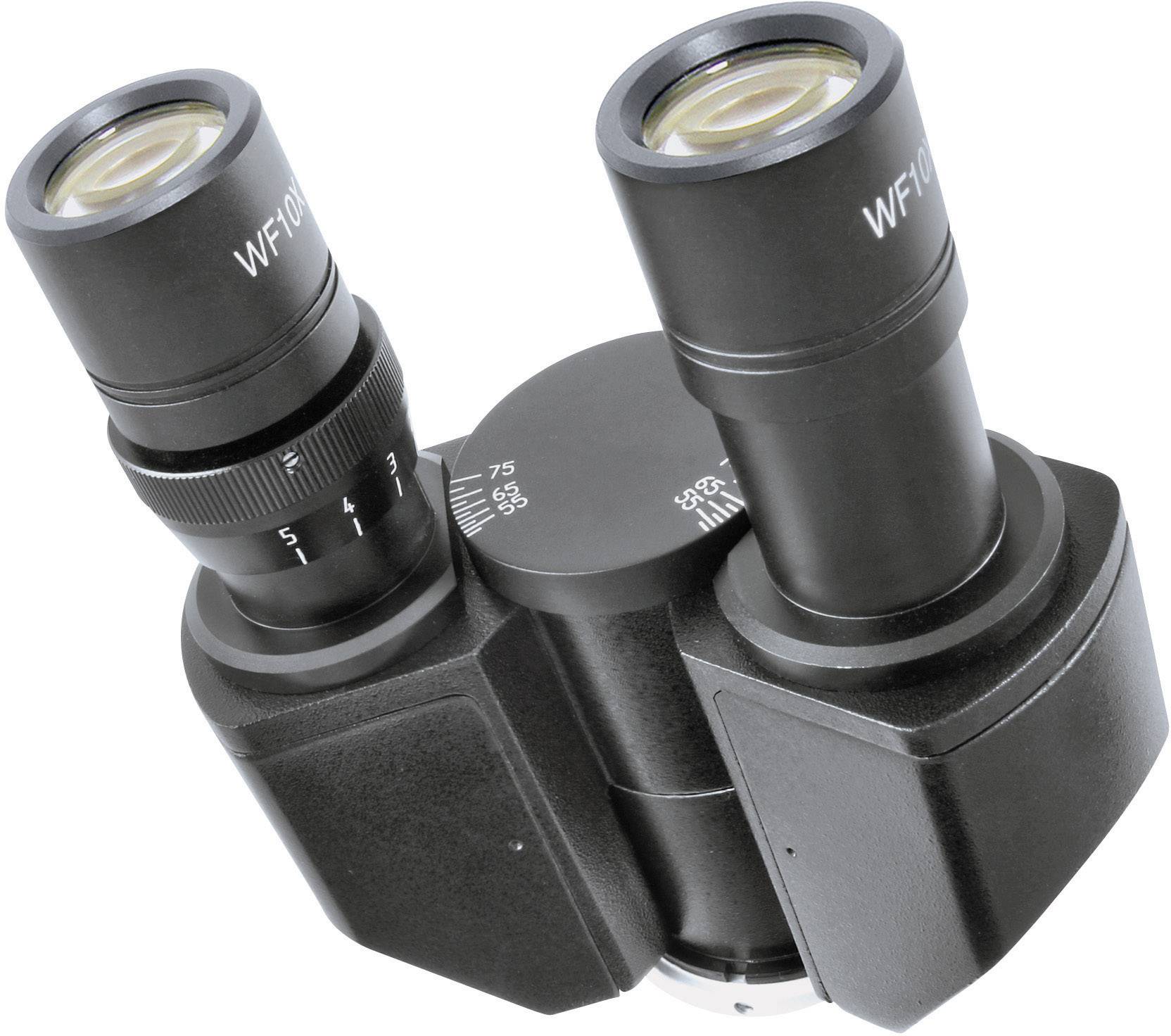 Tubus dwuokularowy mikroskopu z dwiema soczewkami okularowymi w czarnej oprawie, używany do jednoczesnej obserwacji.