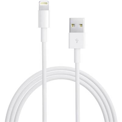 Apple Kabel USB B-Ware (uszkodzony / brakujące opakowanie) USB 2.0 Złącze męskie USB-A, Złącze męskie Lightning 1.00 m b-0