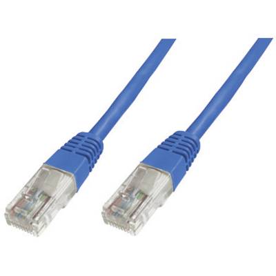 Dwa niebieskie kable Ethernet z przezroczystymi wtykami RJ-45 na końcach, używane do połączeń sieciowych.