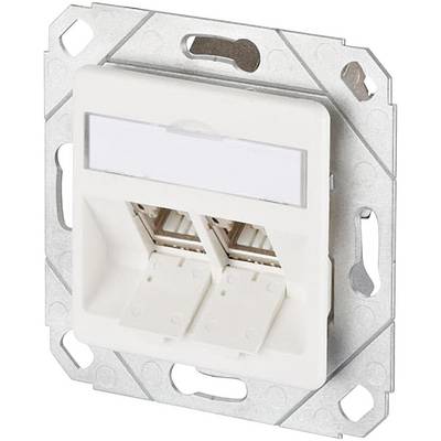 Podwójne złącze sieciowe w standardowym module naściennym, odpowiednie do okablowania sieci LAN. Dwa porty RJ45 w prostokątnej metalowej obudowie.