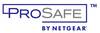 Logo 'ProSafe by Netgear' w niebieskim i szarym kolorze z stylizowaną literą 'P'.