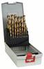 Bosch Accessories 2608587019 HSS sada špirálových vrtákov do kovu, 25-dielna, TiN, DIN 338, valcová stopka, 1 sada