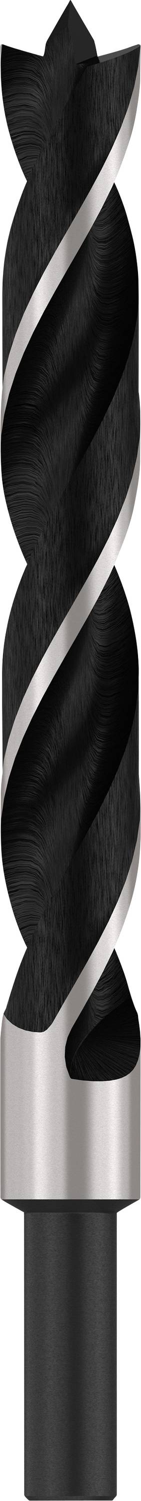 Bosch Accessories 2608596312 Hout-spiraalboor 15 Mm Gezamenlijke Lengte 160 Mm Cilinderschacht 1 Stuk(s)