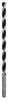 Bosch Accessories 2608597189 špirálový vrták do dreva 10 mm Celková dĺžka 250 mm valcová stopka 1 ks