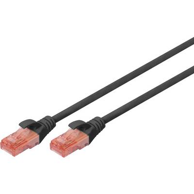 Čiernny ethernetový kábel s červenými konektormi, používaný pre sieťové pripojenia.