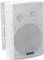 Biely reproduktor s držiakom na stenu, vhodný do interiéru aj exteriéru, vykazuje robustnú konštrukciu a jednoduchú inštaláciu.