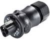 Wieland Electric 96.032.4053.1 zástrčka RST® CLASSIC Serie 230 V 3-pólové