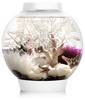 Oase 72001 akvárium biOrb CLASSIC 15 LED weiß En.trieda 2021: G (A - G) 15 l s LED osvetlením