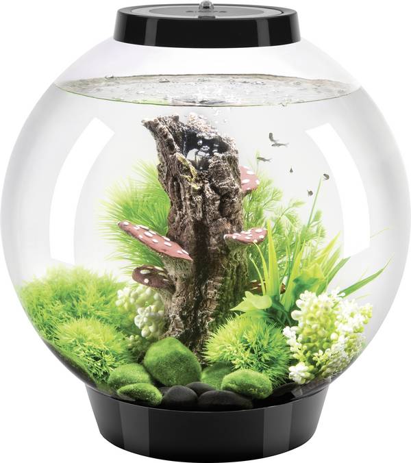 Oase 72005 akvárium biOrb CLASSIC 30 LED schwarz   30 l s LED osvetlením