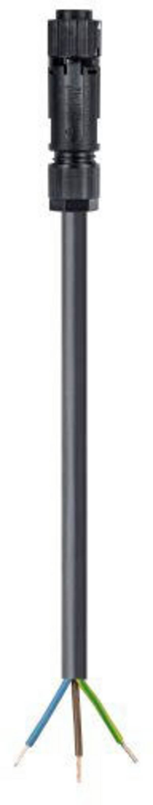 Wieland Electric RST16I3KSB- 15 30SW 46.432.3033.1 prepojovací kábel, 1 ks