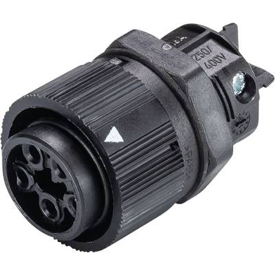 Čierny valcový konektor s viacerými kolíkmi, vhodný pre 250V/400V aplikácie, zobrazuje technické detaily a pripojenia.