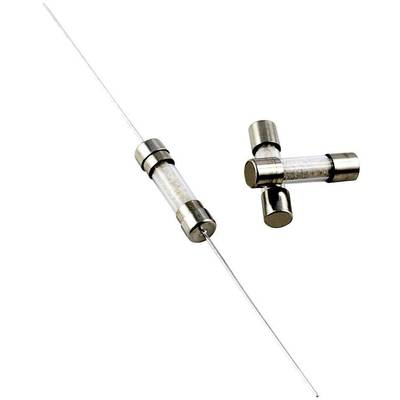 TRU COMPONENTS TC-521.027 10A trubičková poistka (Ø x d) 5 mm x 20 mm 10 A 250 V stredne pomalý -mT- Množstvo 1 ks