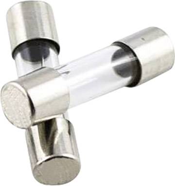 TRU COMPONENTS 1576539 TC-520.622 3,15A Buiszekering (&Oslash; x l) 5 mm x 20 mm 3.15 A 250 V Snel -F- Inhoud 1 stuk(s)