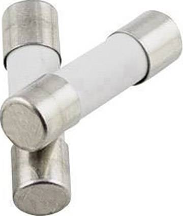 TRU COMPONENTS 1576643 TC-522711 Finsikring (Ø x L) 5 mm x 20 mm 0.25 A 250 V Træg -T- Indhold 1 stk