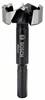 Bosch Accessories 2608577018 Forstnerov vrták 38 mm 1 ks