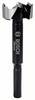 Bosch Accessories 2608577012 Forstnerov vrták 28 mm 1 ks