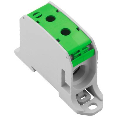 Bielo-zelený elektrický svorkovnicový blok s dvoma pripojovacími miestami. Slúži na bezpečné prepojenie vodičov v elektrických inštaláciách.