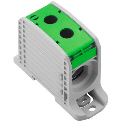 Šedý a zelený elektrický pripojovací svorníkový prvok s dvoma veľkými pripojiteľnými otvormi na hornej strane. Dizajn je kompaktný a stabilný.