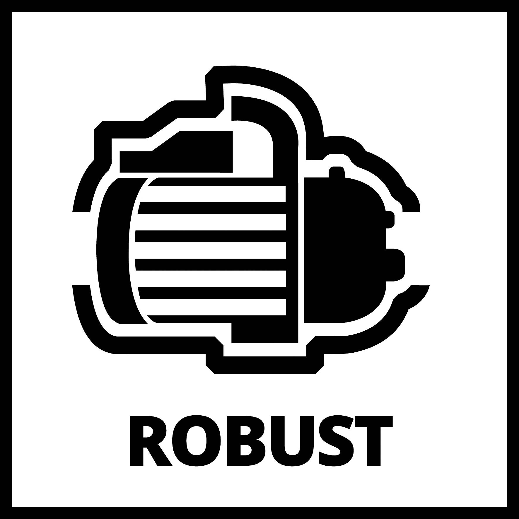 Symbol elektromotora s textom 'ROBUST' pod ním.