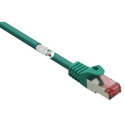 Zelený ethernetový kábel s červeným konektorom, ktorý sa používa v sieťach na prepojenie zariadení pre prenos dát.