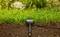 Senzor vlhkosti pôdy zabudovaný v zemi pod trávnatým povrchom, prepojený káblom, so zeleňou v pozadí.