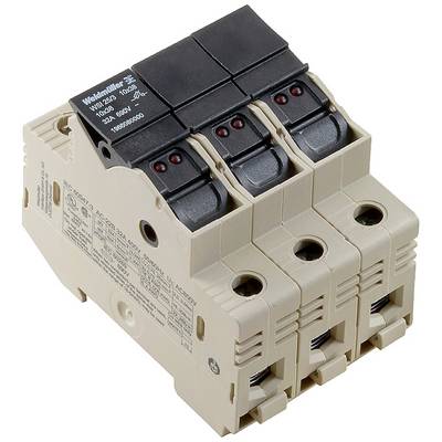 Trojpólový výkonový istič od spoločnosti Weidmüller, model 1021840000, sa v elektrotechnike používa na ochranu proti preťaženiu.