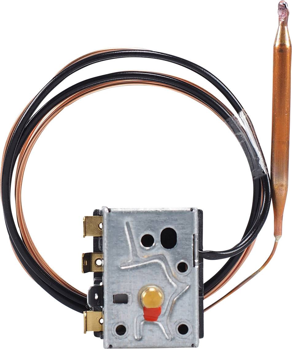 Jumo 60002994 Limitatore di temperatura